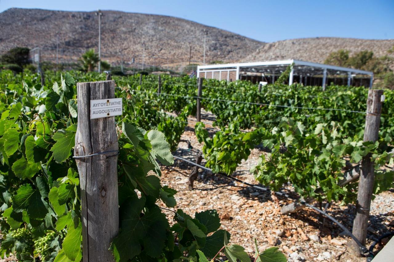 Anemi Folegandros Hotel Каравостаси Екстериор снимка